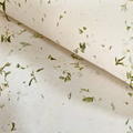 Carrot leaf Paper
