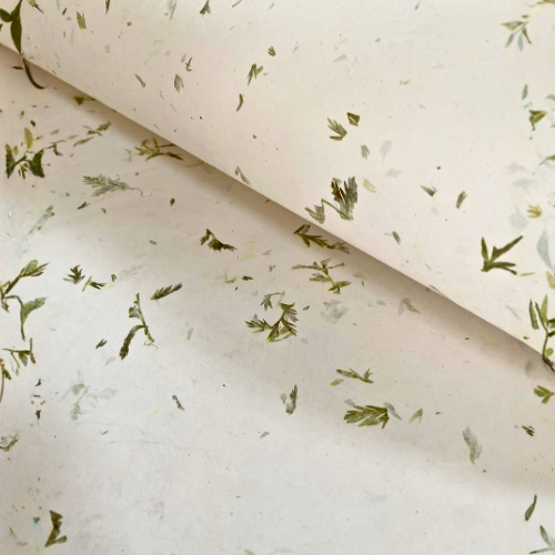Carrot leaf Paper