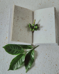 Coffee Husk Paper