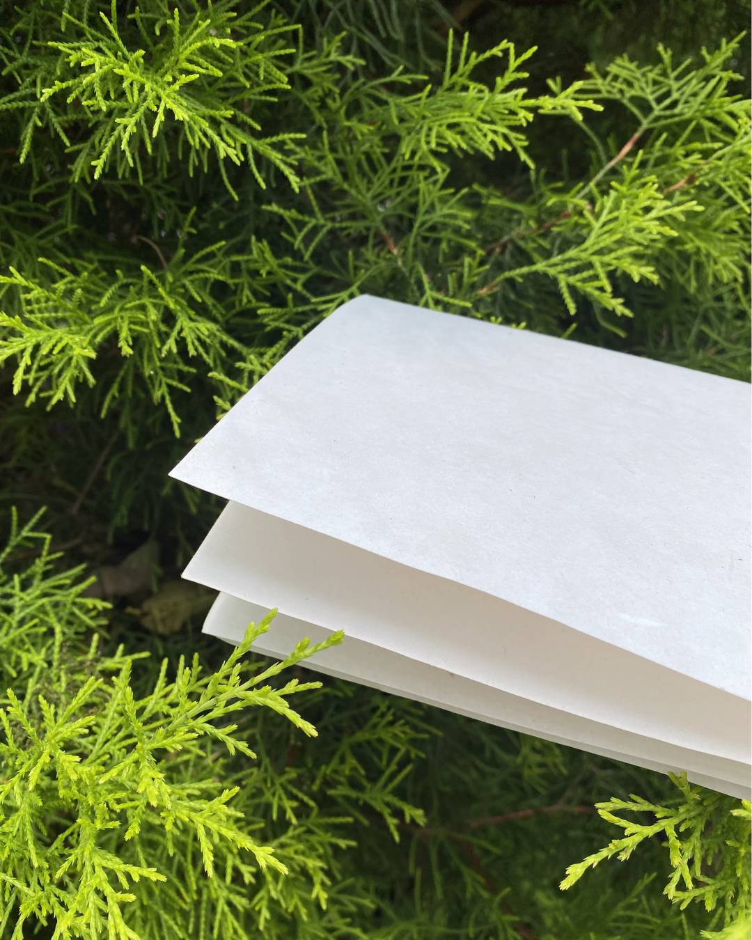 Cotton Paper