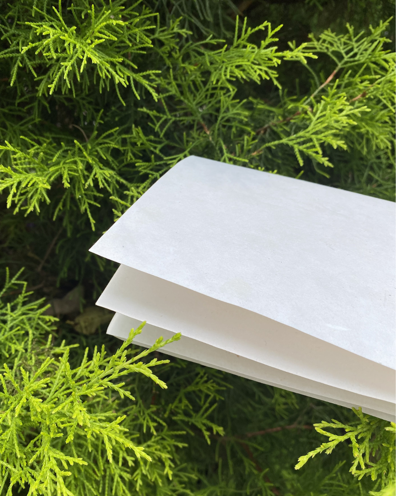Cotton Paper