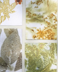 Eco Printed Paper