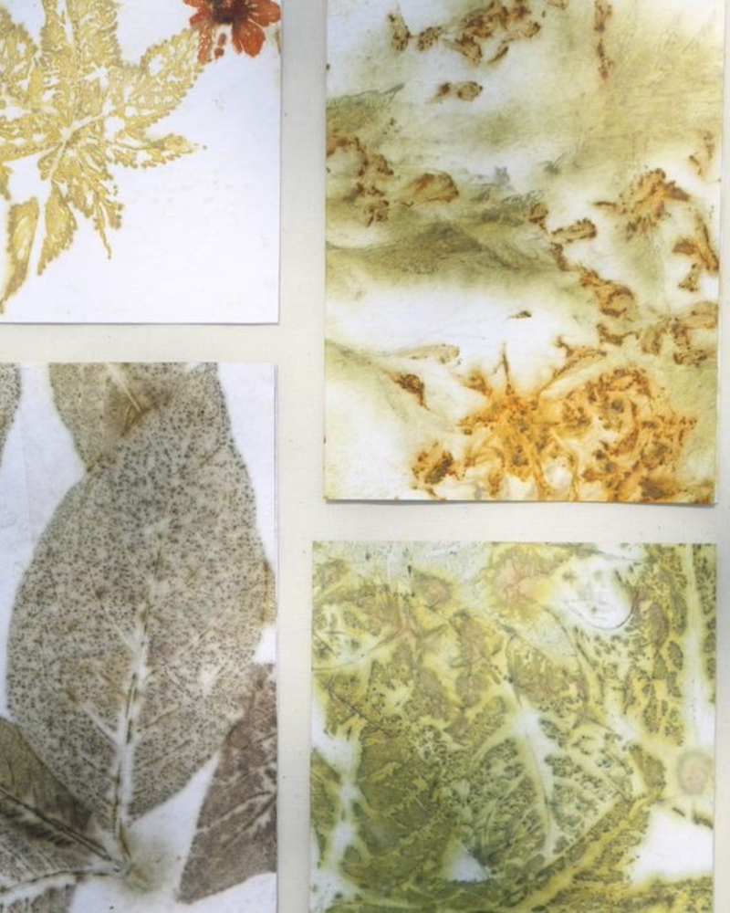 Eco Printed Paper