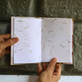 Eucalyptus Paper