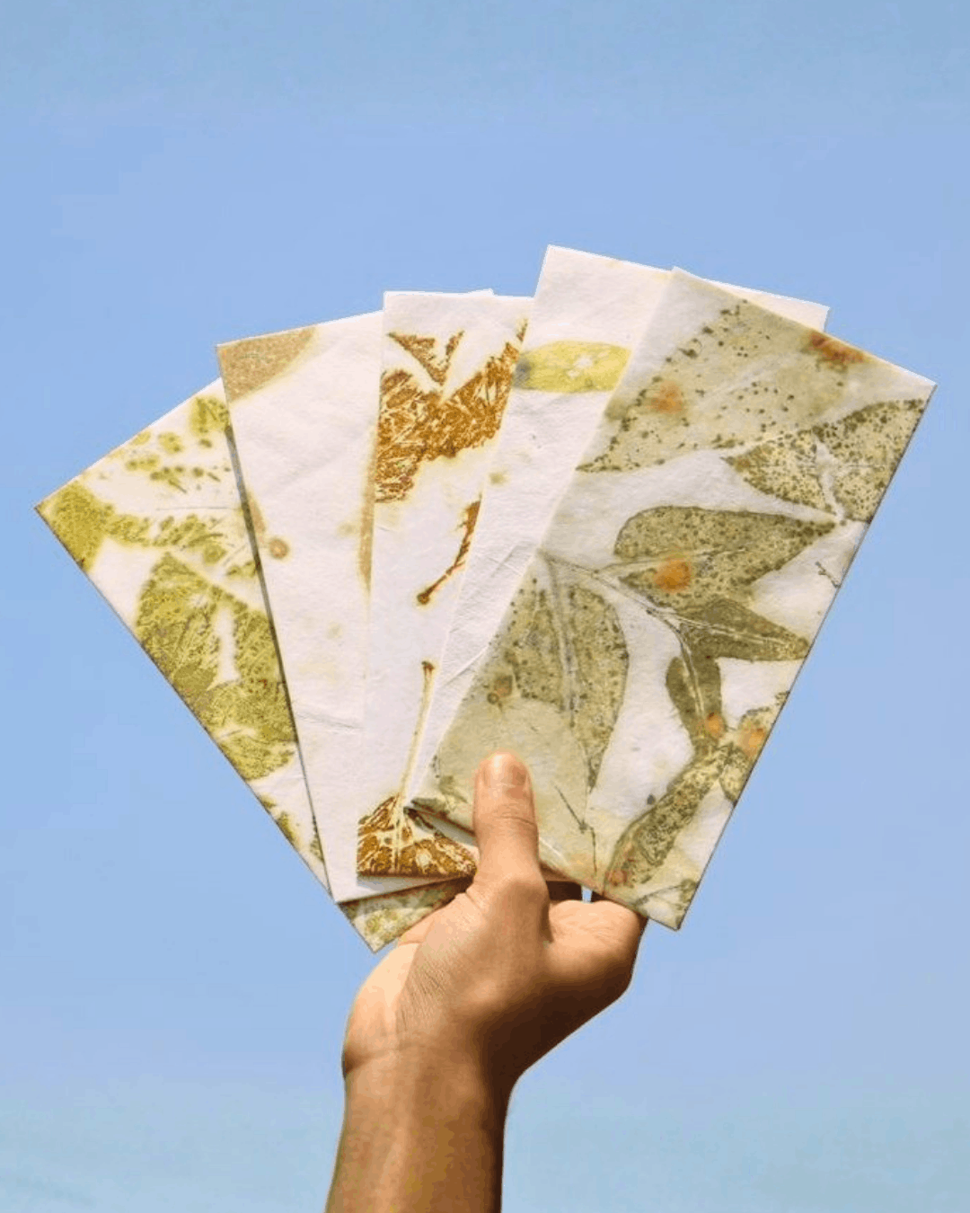 Eco Printed Shagun Envelopes