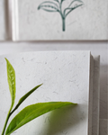 Tea Fiber Paper