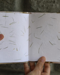 Tea Fiber Paper