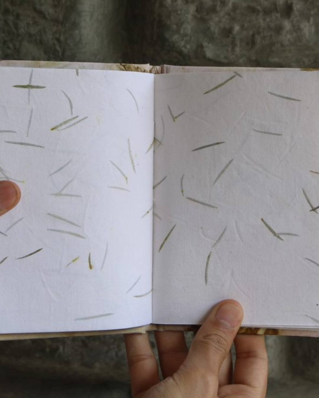 Tea Fiber Paper